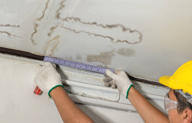 Reliable Structural Drying contractor in Hillsborough, NJ by Water Damage Irwin